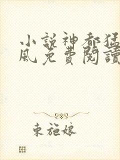 小说神都猛虎岳风免费阅读