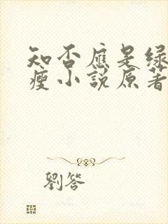 知否应是绿肥红瘦小说原著封面