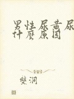 男性尿黄尿多是什么原因