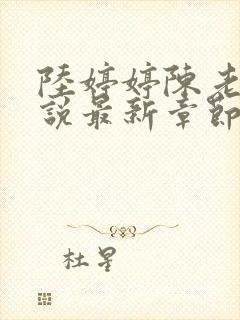 陆婷婷陈老伯小说最新章节更新完了
