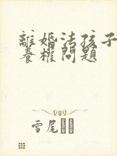 离婚法孩子的抚养权问题