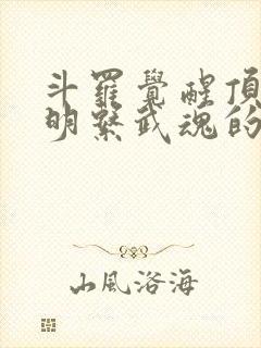 斗罗觉醒顶级光明系武魂的小说