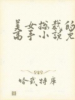 美女总裁的贴身高手小说免费下载