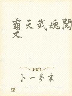 霸天武魂阅读全文封面