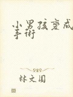 小男孩变成女孩手术