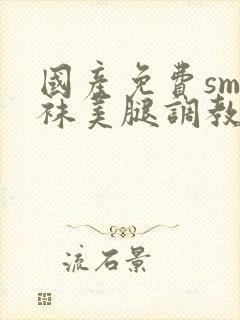 国产免费sm丝袜美腿调教视频