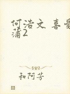 何浩文 喜爱夜蒲2