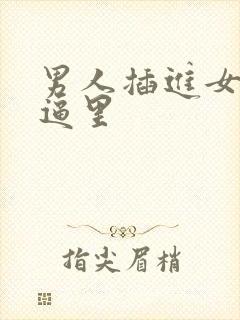 男人插进女人的逼里封面