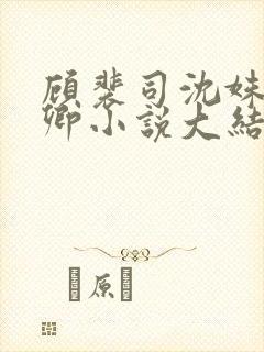 顾裴司沈姝苏念卿小说大结局