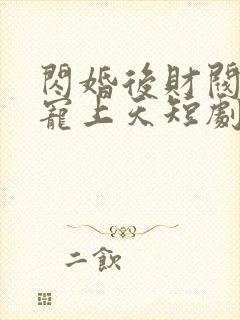 闪婚后财阀老公宠上天短剧