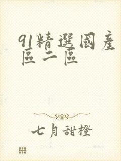 91精选国产一区二区