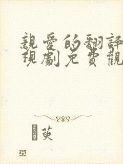 亲爱的翻译官电视剧免费观看全集高清