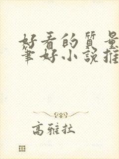 好看的质量高文笔好小说推荐