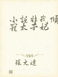 小说非我倾城独宠太子妃