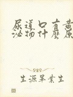 尿道口有黄色分泌物什么原因封面