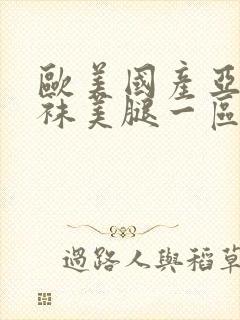 欧美国产亚洲丝袜美腿一区