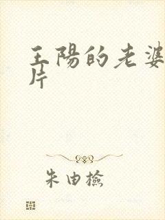 王阳的老婆 照片