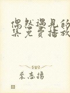 偶然遇见的你全集免费播放在线观看