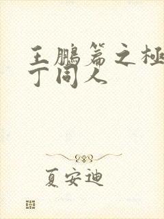 王鹏篇之极品家丁同人封面