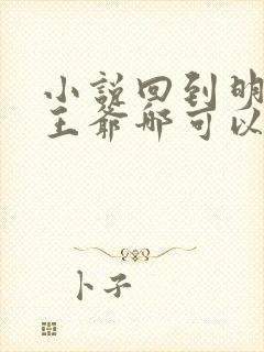 小说回到明朝当王爷哪可以找到