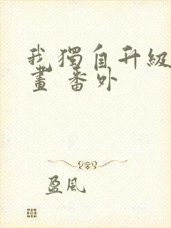 我独自升级 漫画 番外