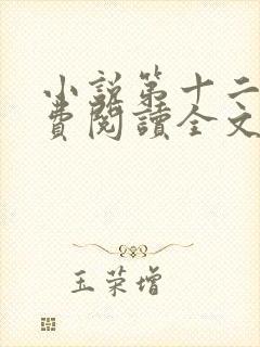 小说第十二秒免费阅读全文封面