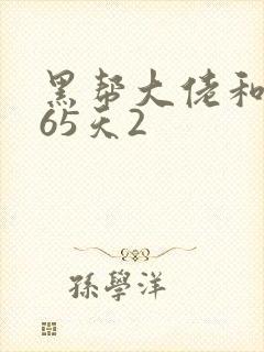 黑帮大佬和我365天2