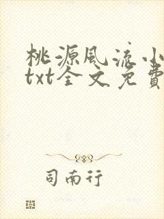 桃源风流小村医txt全文免费下载