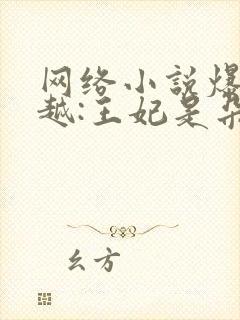 网络小说爆笑穿越:王妃是朵白莲花封面