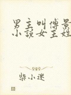 男主叫傅景琛的小说女主姓夏封面