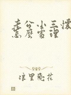 老公小三怀孕了怎么处理