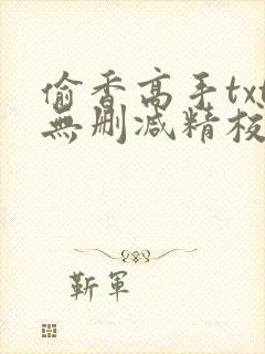 偷香高手txt无删减精校版