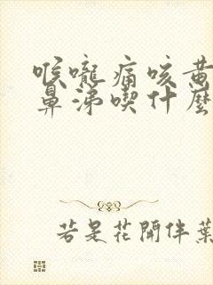 喉咙痛咳黄痰流鼻涕吃什么药