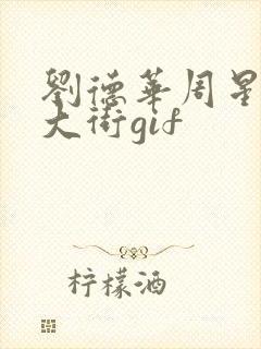 刘德华周星驰走大街gif