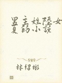 男主姓陆女主姓夏的小说