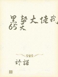 黑帮大佬我的365天封面