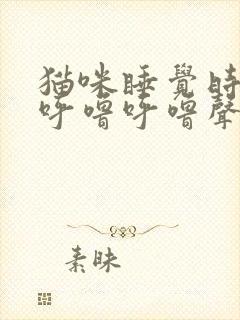 猫咪睡觉时发出呼噜呼噜声音封面