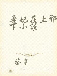 毒妃在上邪王在下小说封面