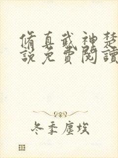 修真武神楚枫小说免费阅读