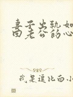 妻子出轨如何挽回老公的心封面