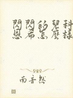 闪闪的儿科医生恩希怎么样了封面