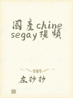 国产chinesegay视频