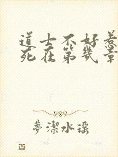 道士不好惹李岩死在第几章