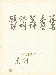 顾沐笙秦苒薇小说叫什么名字