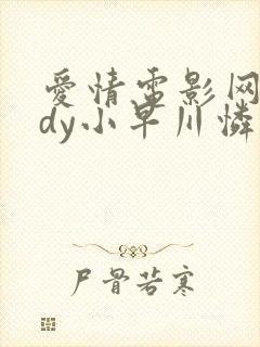 爱情电影网aqdy小早川怜子