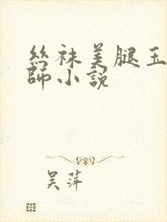 丝袜美腿玉足老师小说封面