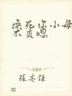 操死你小母狗爽不爽嗯