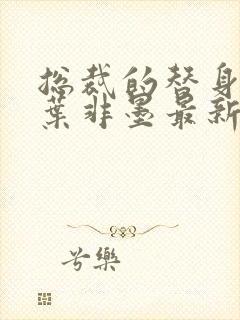 总裁的替身前妻叶非墨最新章节