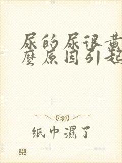 尿的尿很黄是什么原因引起的