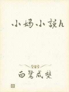 小妈小说h